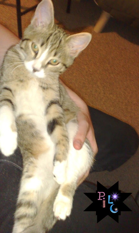 Minou